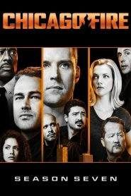 Chicago Fire: Stagione 7