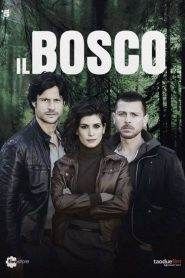 Il Bosco: Stagione 1