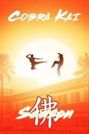 Cobra Kai: Stagione 2