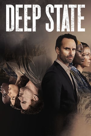 Deep State 2 stagione