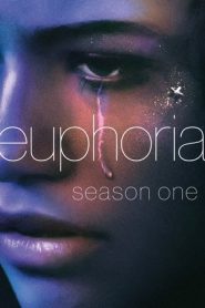 Euphoria 1 stagione