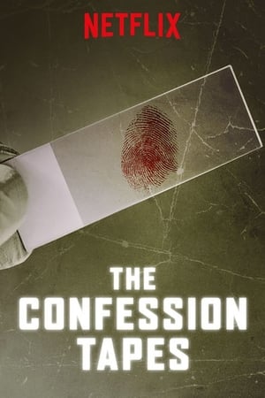 The Confession Tapes 2 stagione