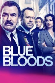 Blue Bloods 9 stagione