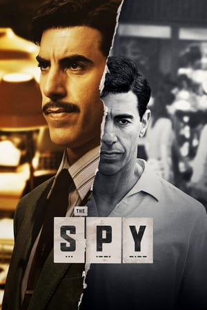 The Spy 1 stagione