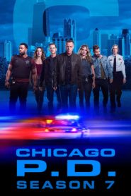 Chicago P.D. 7 stagione