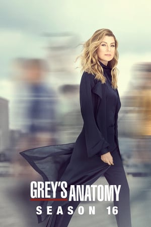 Grey’s Anatomy 16 stagione