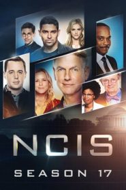 NCIS – Unità anticrimine 17 stagione