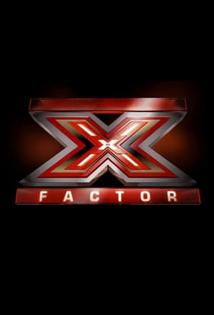 X Factor 13 stagione