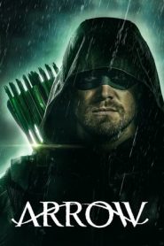 Arrow 8 stagione