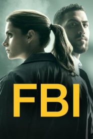 FBI 2 stagione