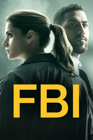 FBI 2 stagione