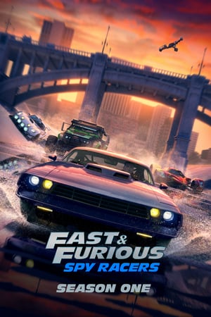 Fast & Furious: Piloti sotto copertura 1 stagione