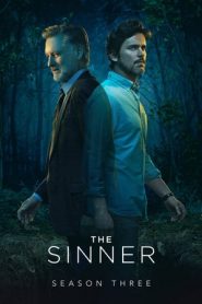 The Sinner 3 stagione