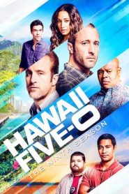 Hawaii Five-0 9 stagione