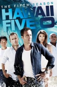 Hawaii Five-0 5 stagione