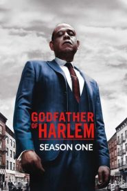 Godfather of Harlem 1 stagione