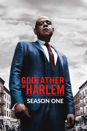 Godfather of Harlem 1 stagione