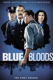 Blue Bloods 1 stagione