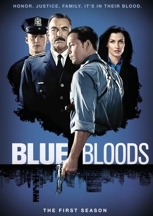 Blue Bloods 1 stagione