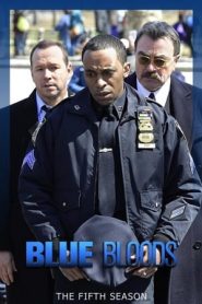 Blue Bloods 5 stagione