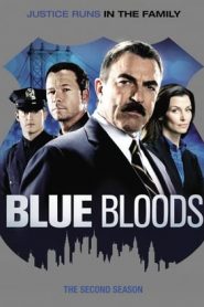 Blue Bloods 2 stagione