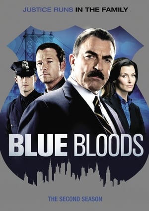 Blue Bloods 2 stagione