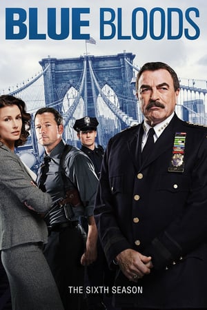 Blue Bloods 6 stagione