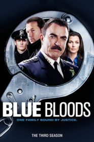 Blue Bloods 3 stagione