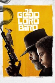 The Good Lord Bird – La storia di John Brown 1 stagione