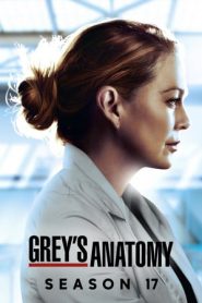 Grey’s Anatomy 17 stagione