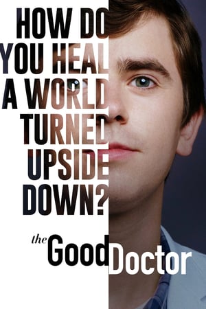 The Good Doctor 4 stagione