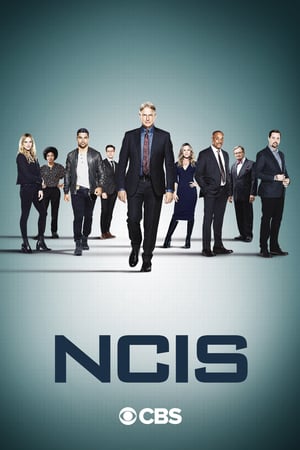 NCIS – Unità anticrimine 18 stagione