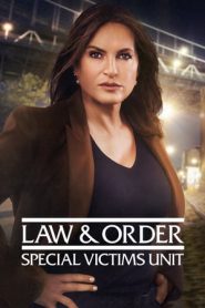 Law & Order – Unità vittime speciali 22 stagione