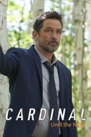 Cardinal 4 stagione