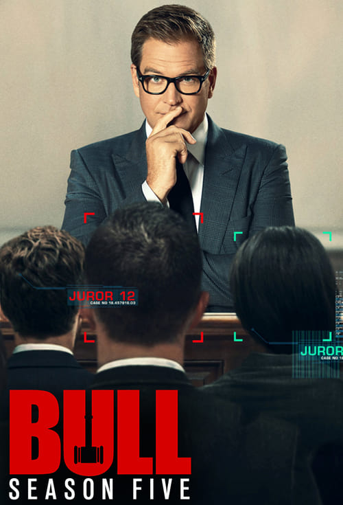 Bull 5 stagione