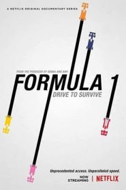 Formula 1: Drive to Survive 3 stagione