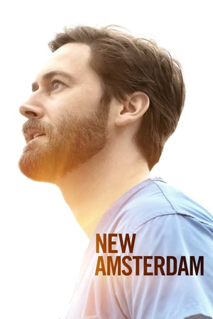 New Amsterdam 3 stagione