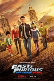 Fast & Furious: Piloti sotto copertura 4 stagione