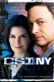 CSI: NY 7 stagione