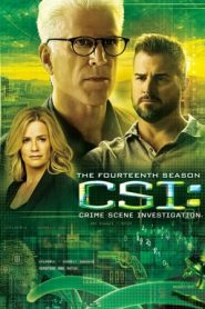 CSI – Scena del crimine 14 stagione