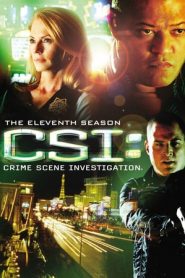 CSI – Scena del crimine 11 stagione