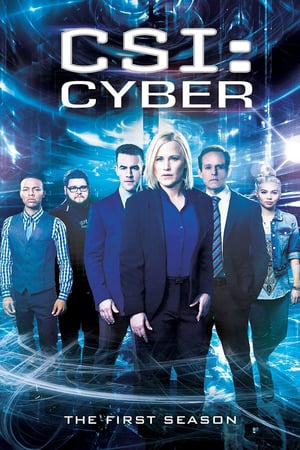 CSI: Cyber 1 stagione