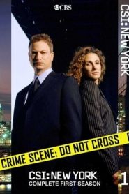 CSI: NY 1 stagione