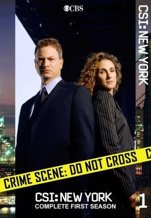 CSI: NY 1 stagione