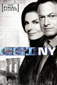 CSI: NY 9 stagione