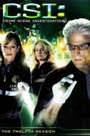 CSI – Scena del crimine 12 stagione