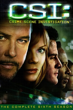 CSI – Scena del crimine 6 stagione