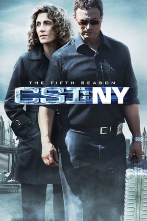 CSI: NY 5 stagione