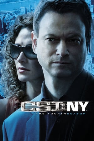 CSI: NY 4 stagione