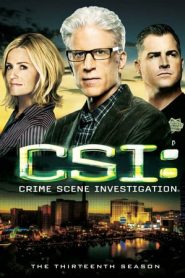 CSI – Scena del crimine 13 stagione